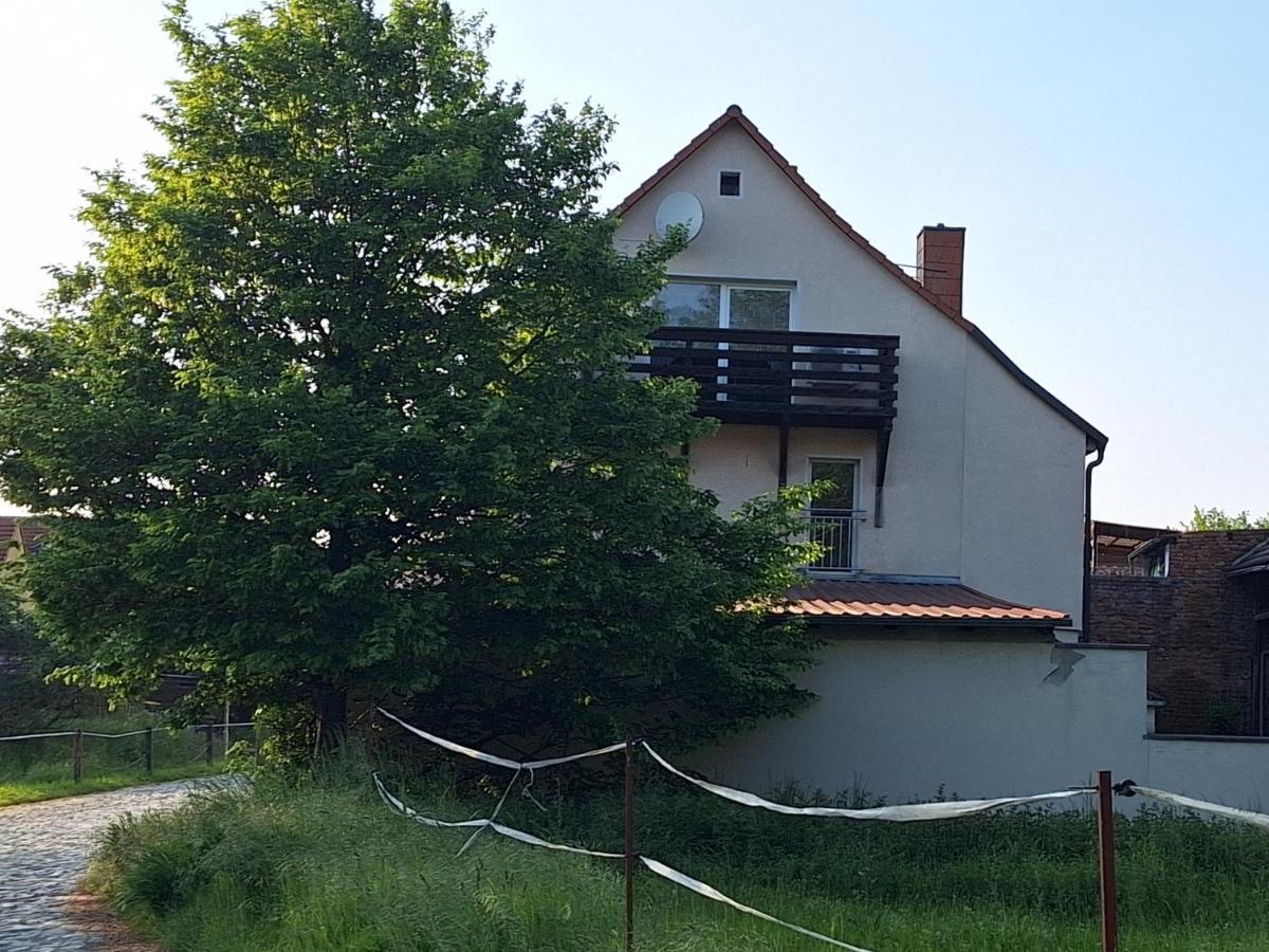 Ferienhaus Herztor Bad Bibra Exterior photo